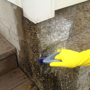 Akona Concrete/Masonry Restoration Cleaner