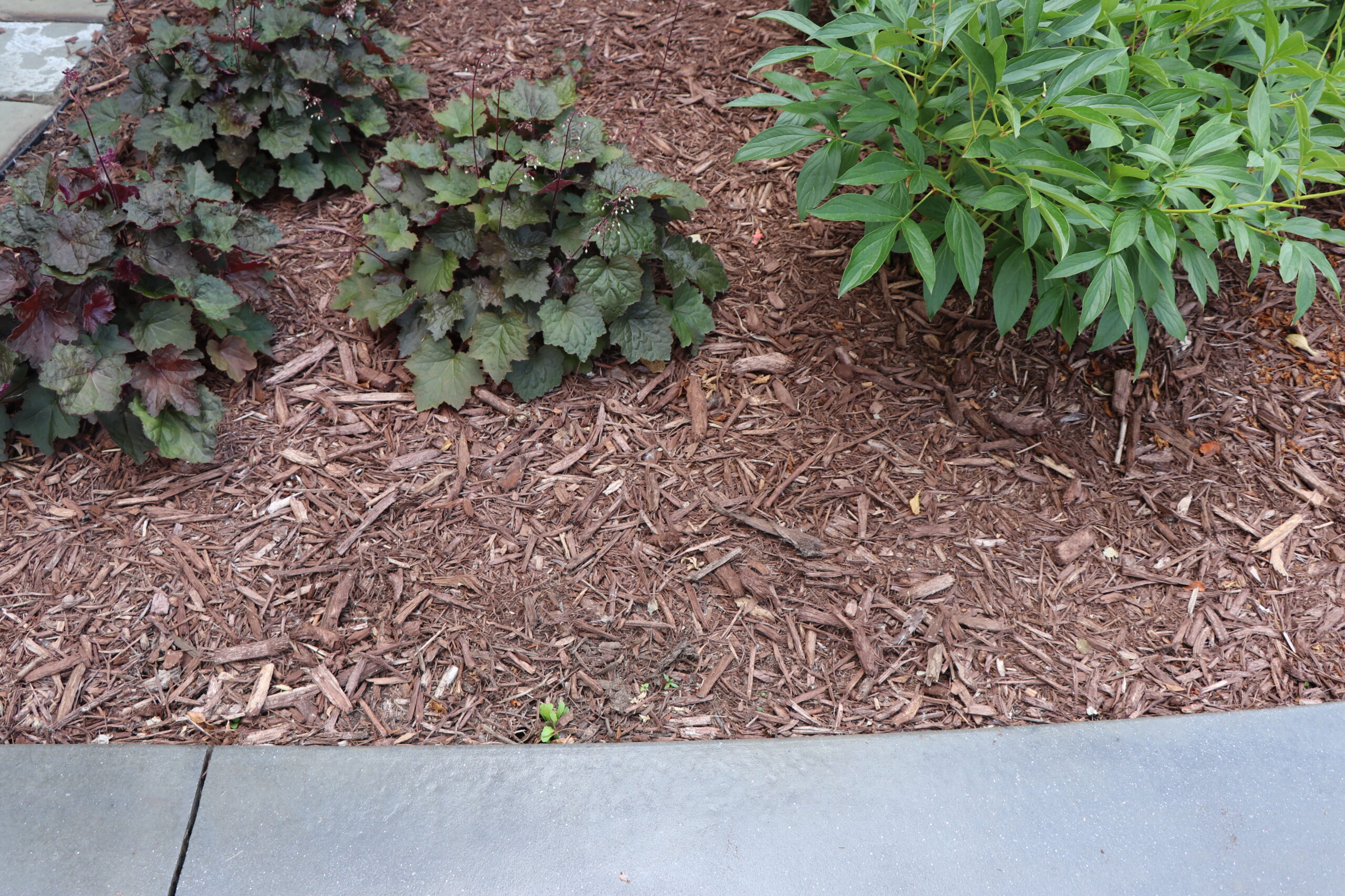 NorthRock® Landscape Loc® Mulch & Rock Bond TCC Materials