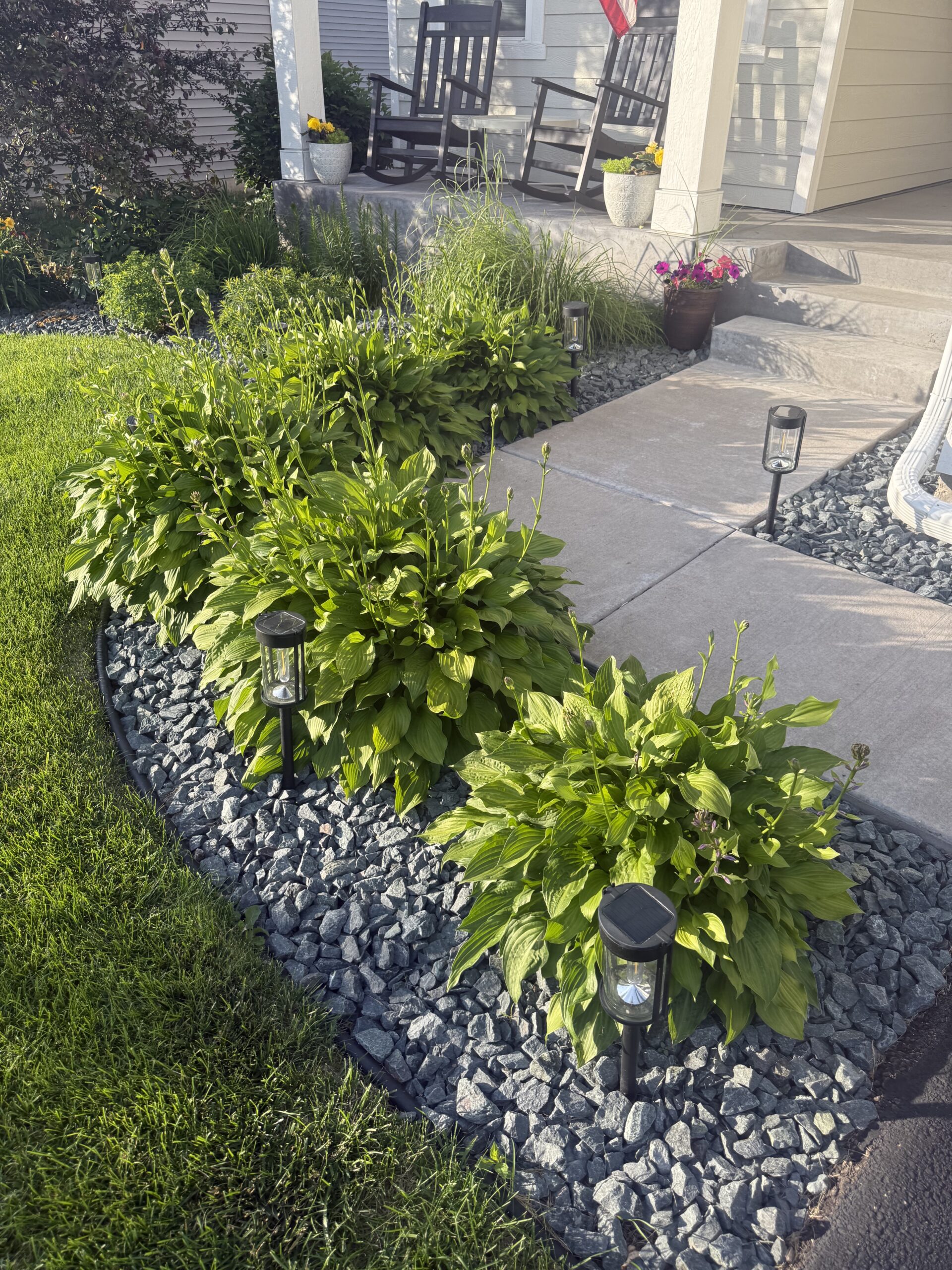 Front yard walkway with gravel mulch, hosta plants, and solar path lights leading to a porch with rocking chairs on it. (informational)