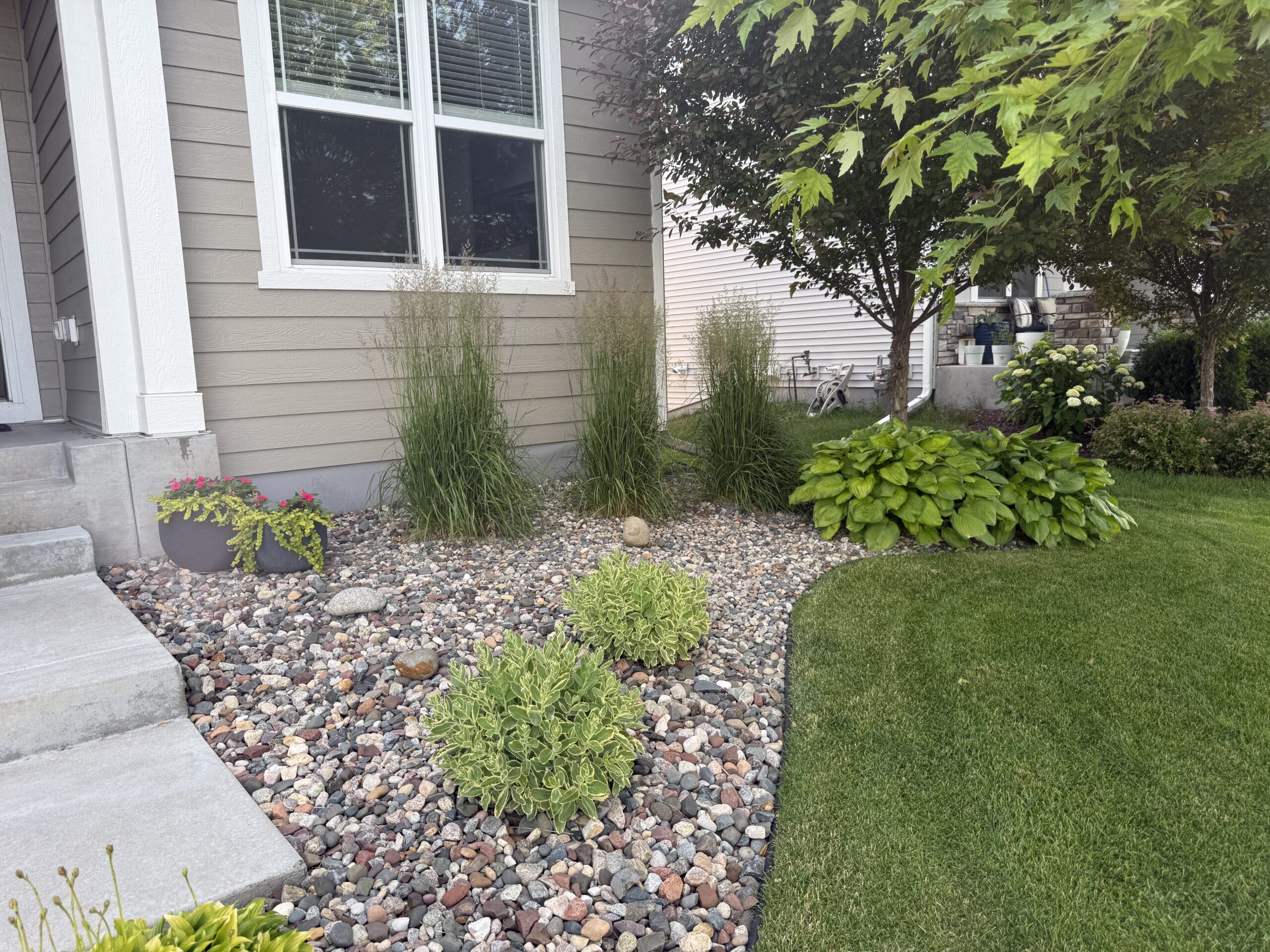 Front yard landscape with a rock garden, tall ornamental grasses, and green shrubs along the beige house siding and window