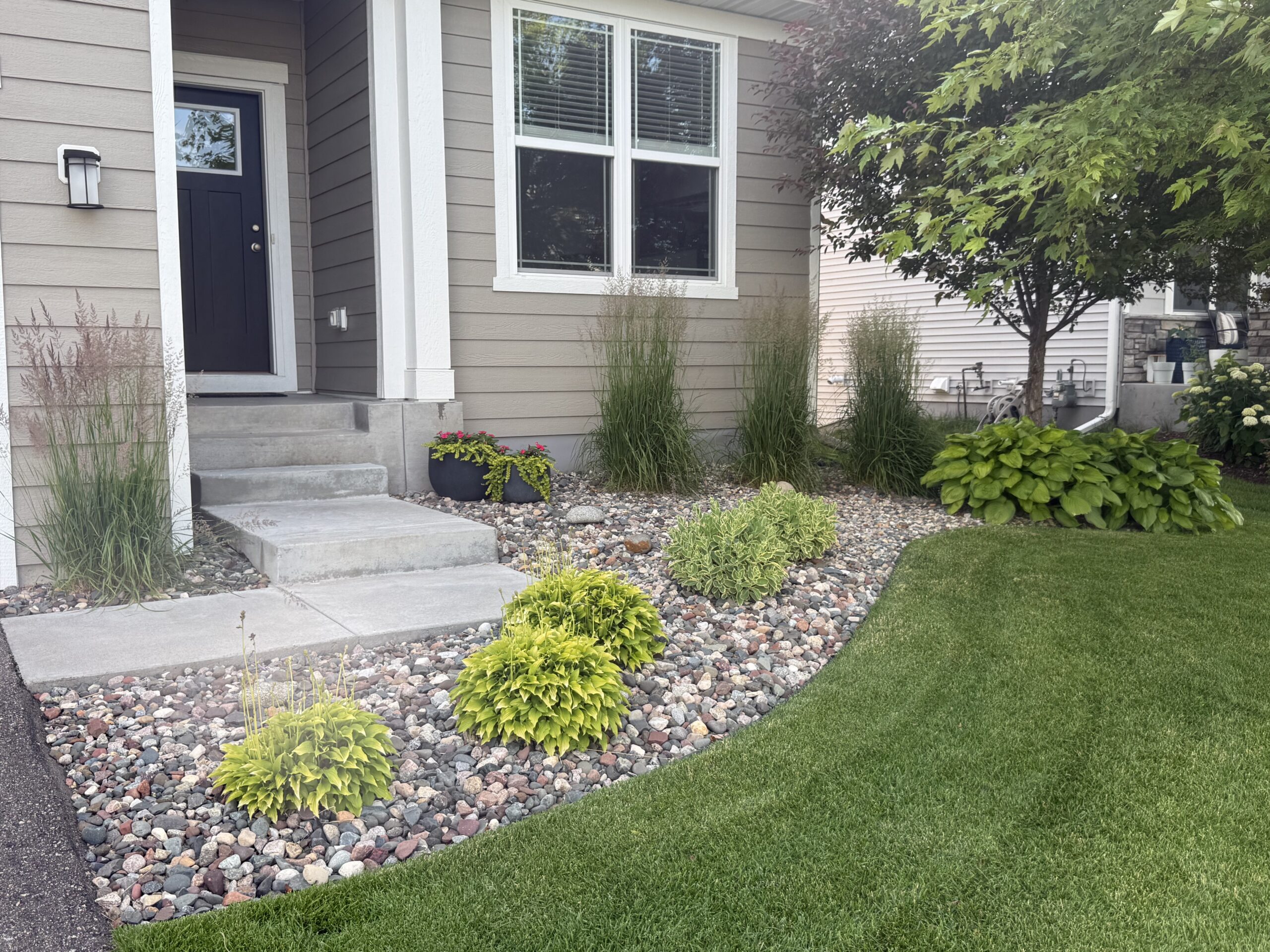 Front yard landscaping with a concrete walkway, rock bed, ornamental grasses, and a small purple-blue front door by a beige house.