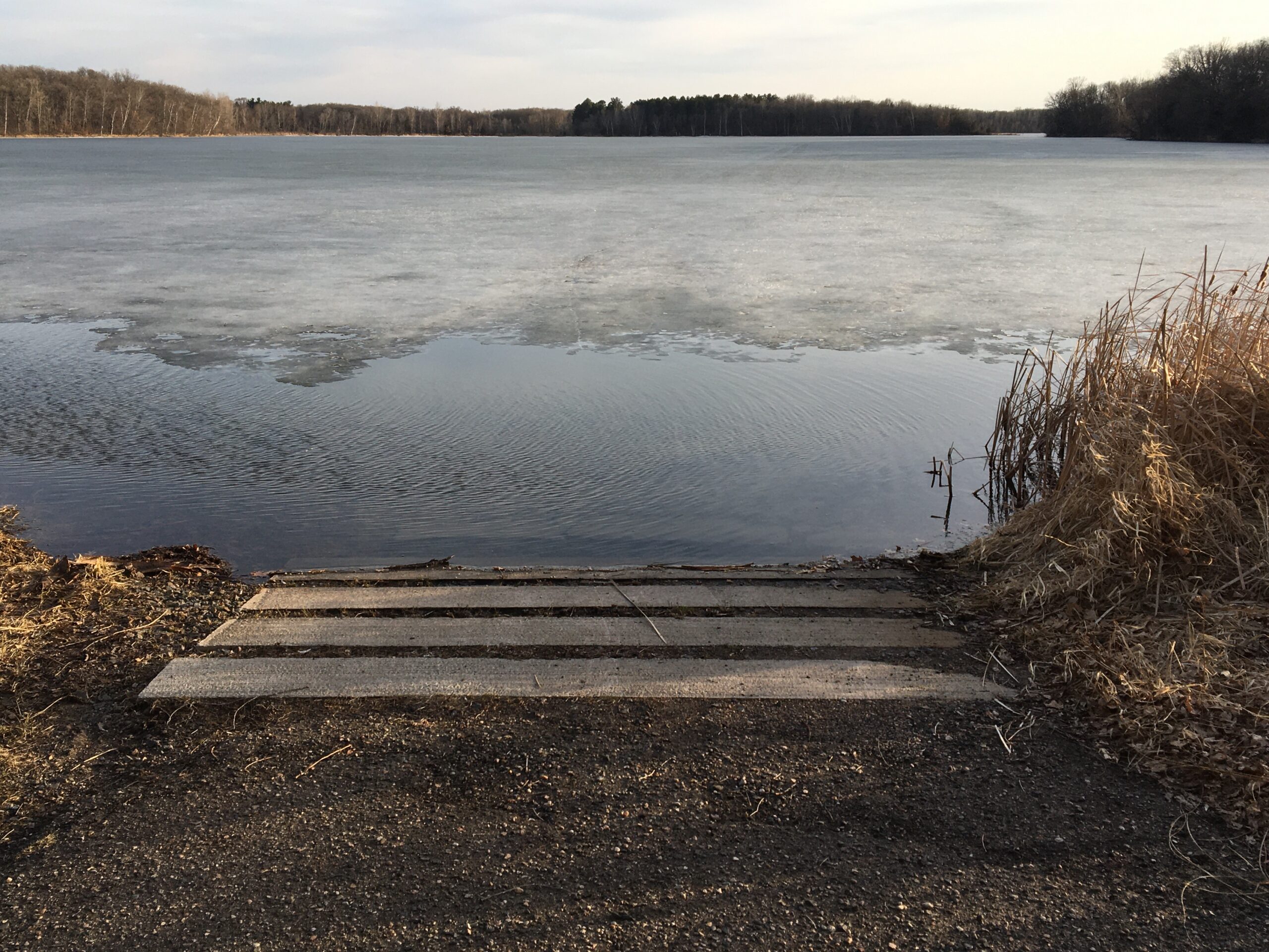 Concrete steps descend to a partially frozen lake, with tall reeds on the right and a tree-lined shore in the distance.